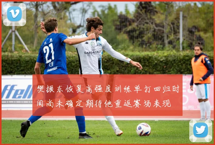 樊振东恢复高强度训练单打回归时间尚未确定期待他重返赛场表现