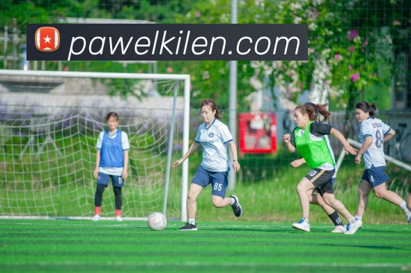 九游官网APP 封面图